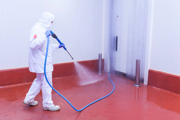 Best Driveway Pressure Washing  in Denver, NC